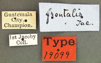 Media type: image; Entomology 19099   Aspect: labels